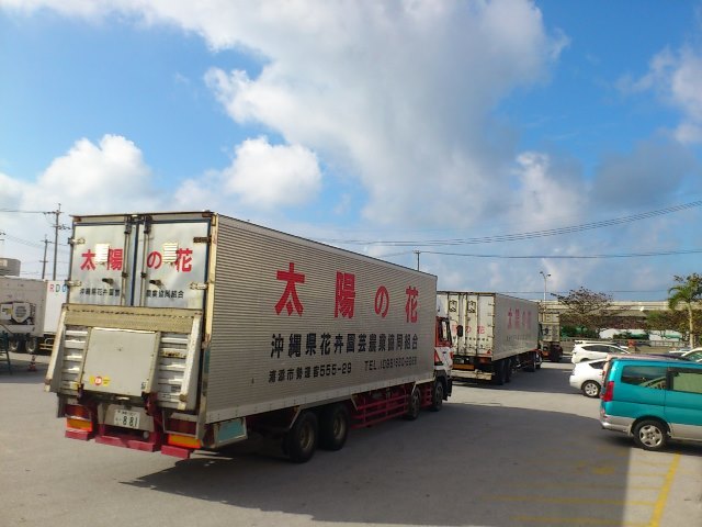 初荷2(Web大)