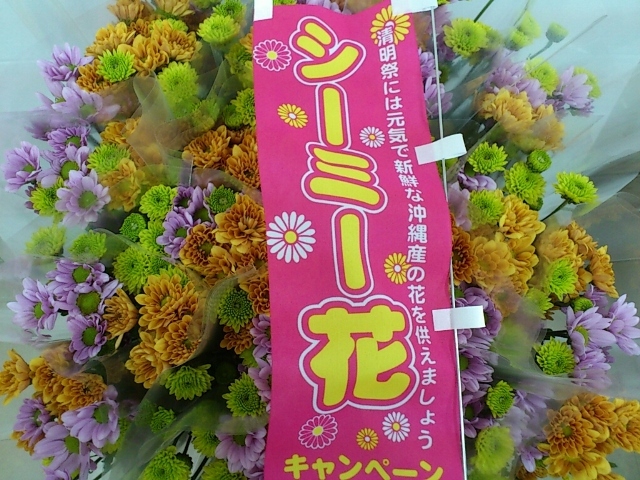 シーミー花②(Web大)