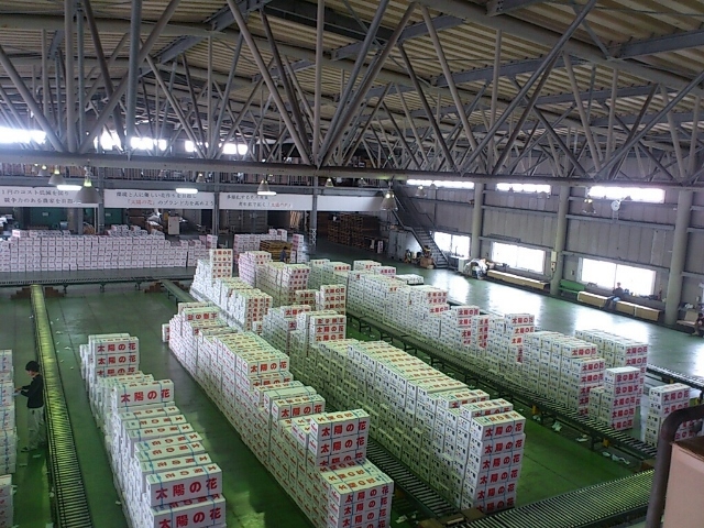 現場入荷の様子(Web大)
