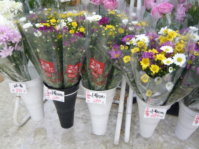 シーミーお花屋さん紹介②(Web大)