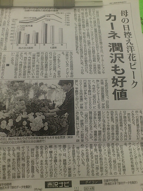 母の日新聞(Web大)