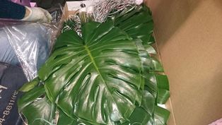 秋彼岸⑥(電子メール大)