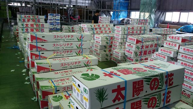 現場①(Web大)