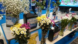 IFEX⑲(電子メール大)