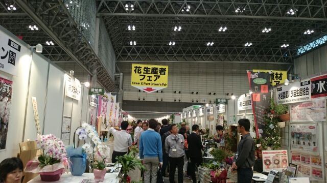 IFEX⑬(Web大)