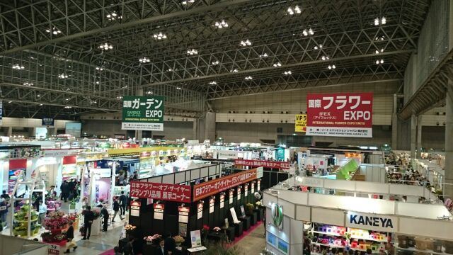 IFEX②(Web大)