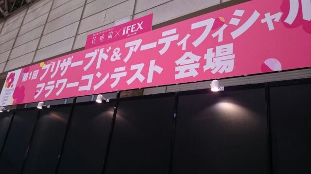 IFEX③(Web大)