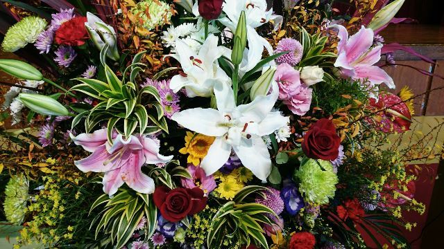 盛花(Web大)