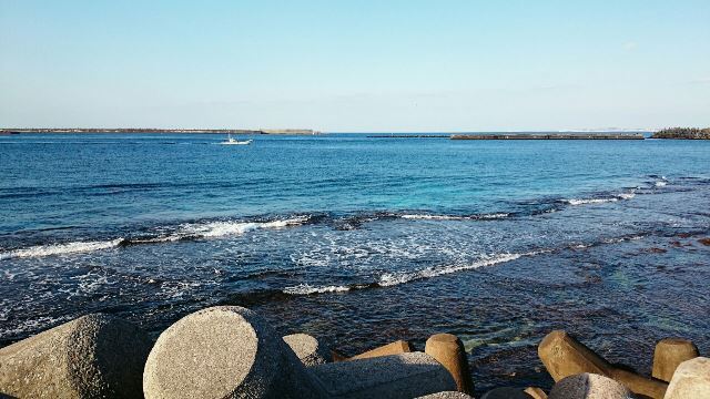 海①（Web大）