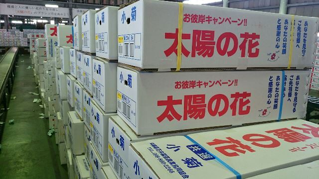 彼岸出荷箱(Web大)