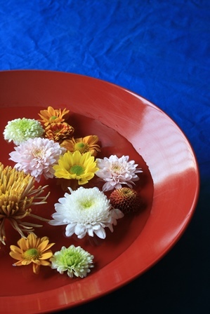花②(Web小)