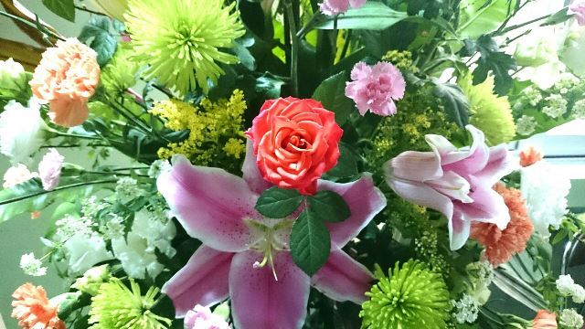 盛花(Web大)