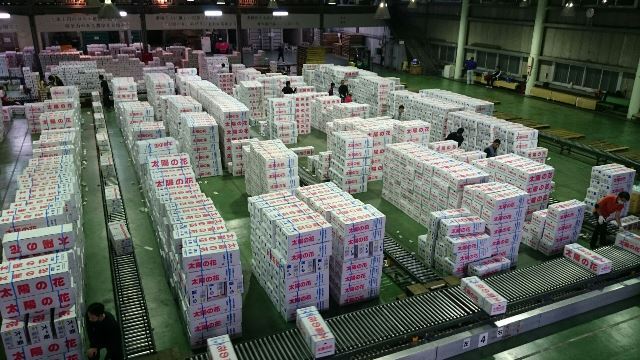 現場(Web大)