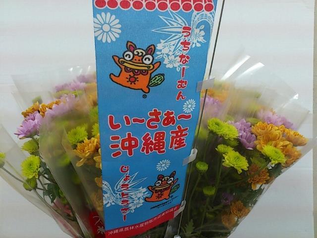 花束(Web大)