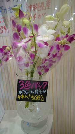 デンファレフェア②(Web小)