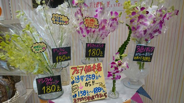 デンファレフェア③(Web大)