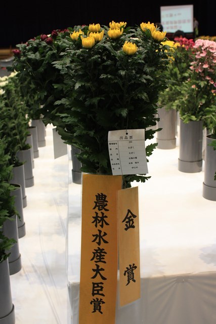 2016花卉品評会② (Web大)