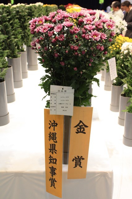2016花卉品評会④ (Web大)