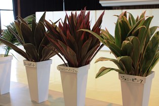 5.31生産者大会⑥ (電子メール大)