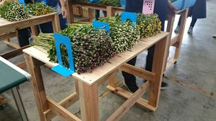 花束加工場③(電子メール大)