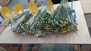 花束加工場④(電子メール大)