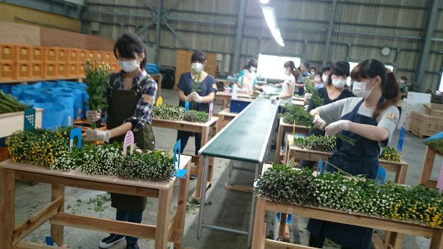 花束加工場①(Web大)