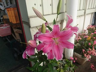 圃場③(電子メール大)