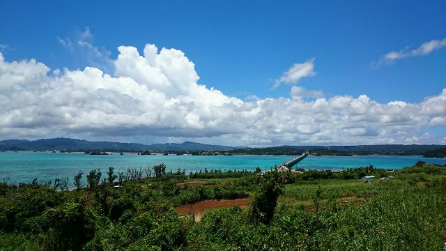 風景⑥（Ｗｅｂ大）