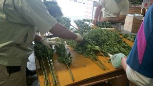 花束加工②(電子メール大)