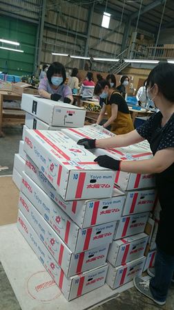 花束加工場②（Ｗｅｂ小）