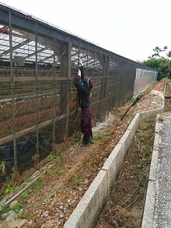 チャレンジ農場③(Web小)