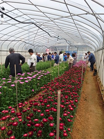 チャレンジ農場⑤(Web小)