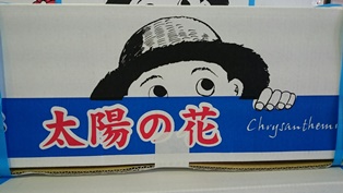 夏小菊③（電子メール大）