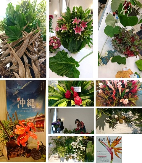 沖縄の花たちと⑤(Web大)