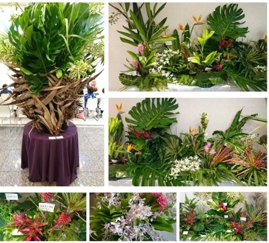 沖縄の花たちと①(Web大)