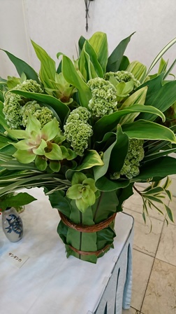 沖縄の花たちと③(Web小)