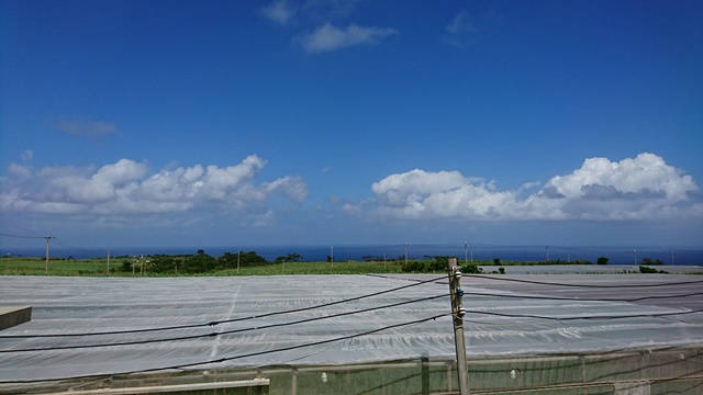 久米島・平張①(Web大)