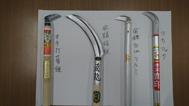 資材紹介11月(Web大)