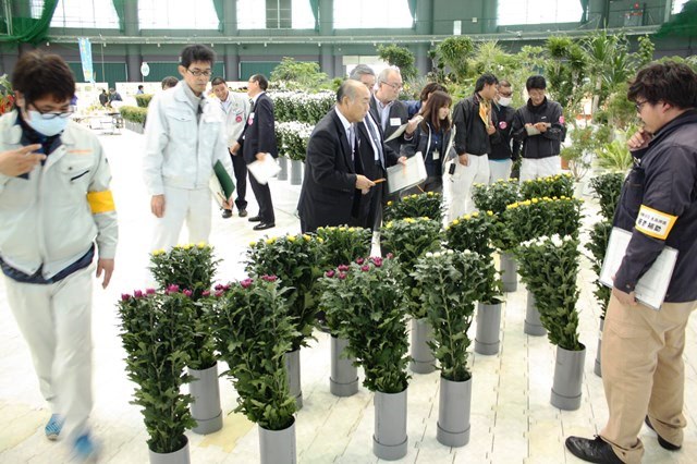 2018花卉品評会(Web大)