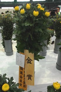 2018九州山口花き園芸連絡協議会長賞(電子メール大)
