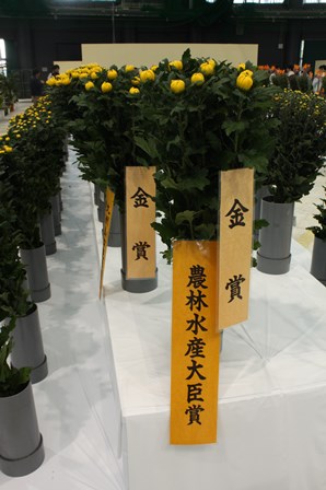 20180217マイフェイバリットソング①(Web小)