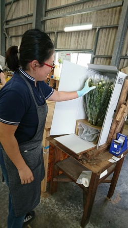 花束加工場⑥(Web小)