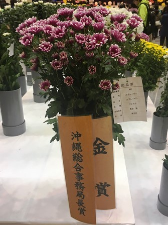 20190125花き品評会⑤(Web小)