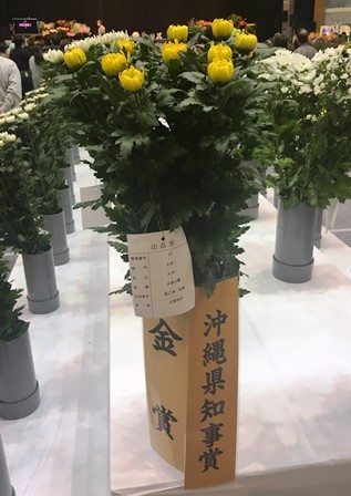 20190125花き品評会④(Web小)