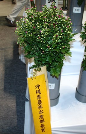 20190125花き品評会⑥(Web小)