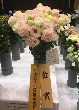20190125花き品評会⑦(Web小)