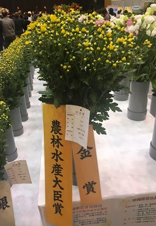 20190125花き品評会②(Web小)