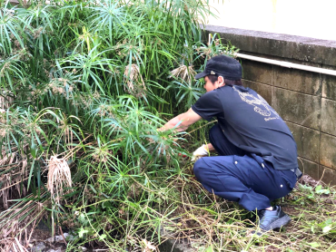 草刈り① Web小