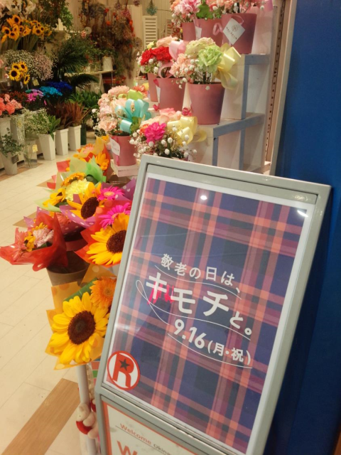 マカロン① Web大