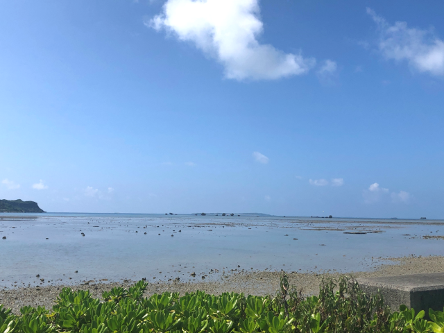 海岸